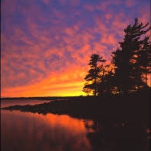 Meet your Posher, Lila